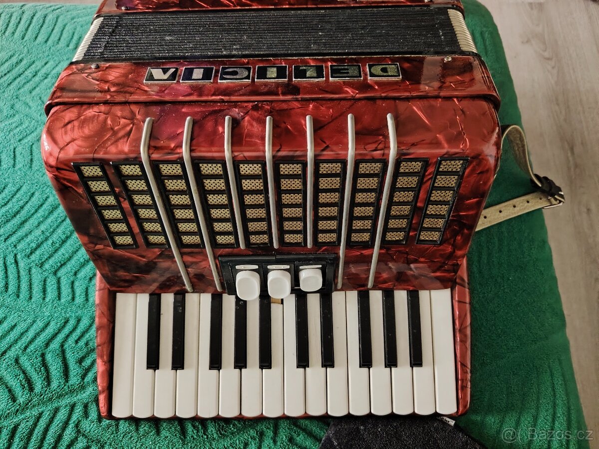 Akordeon DELICIA Junior IV - 2