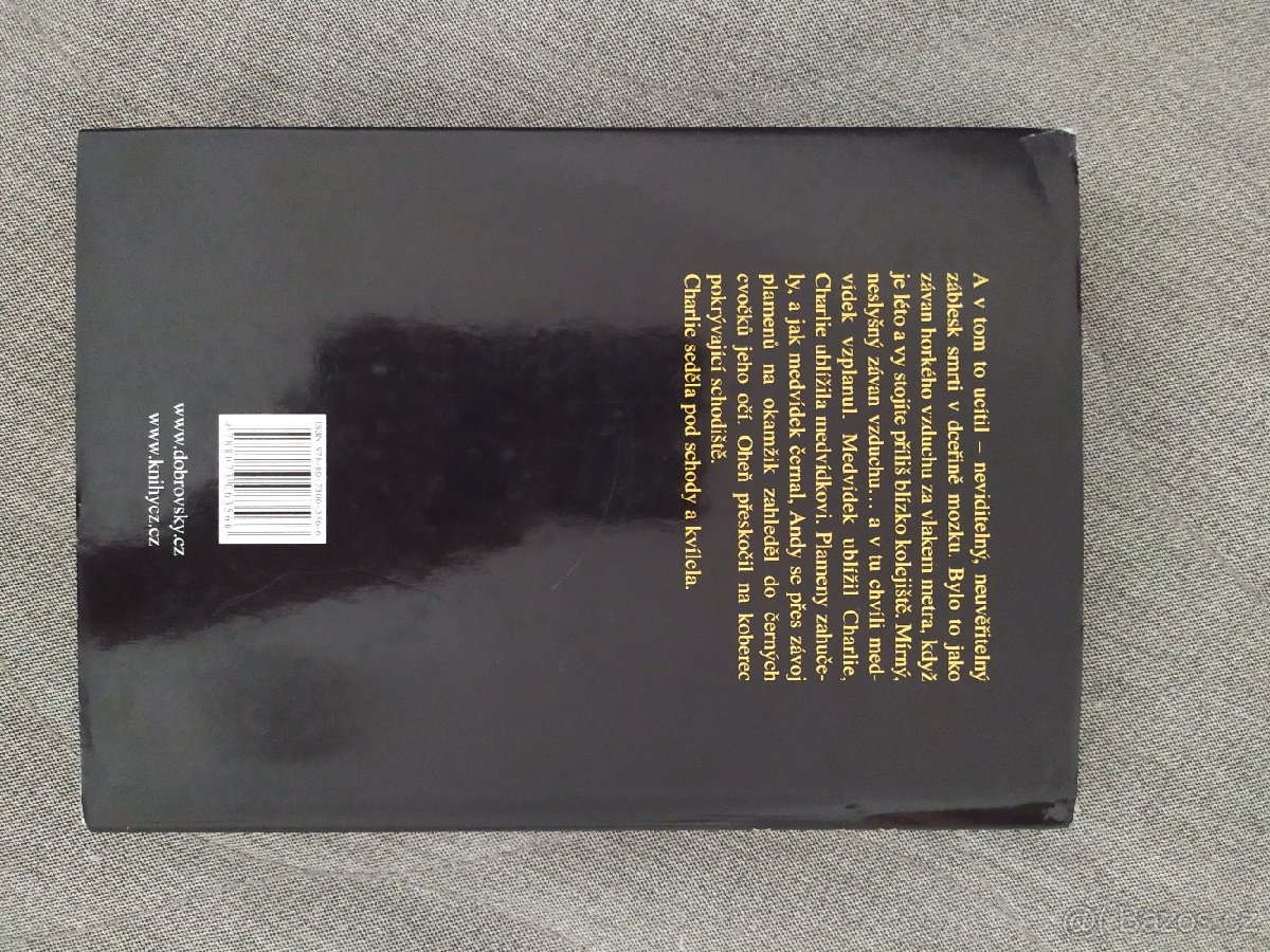 Stephen King - Žhářka - 2