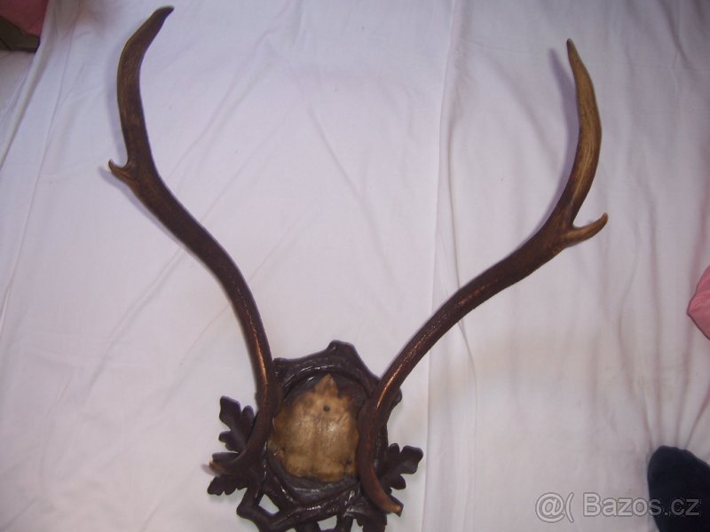 Prodám paroží - 2