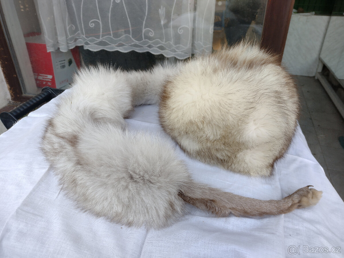 čepice a límec z lišky - 2