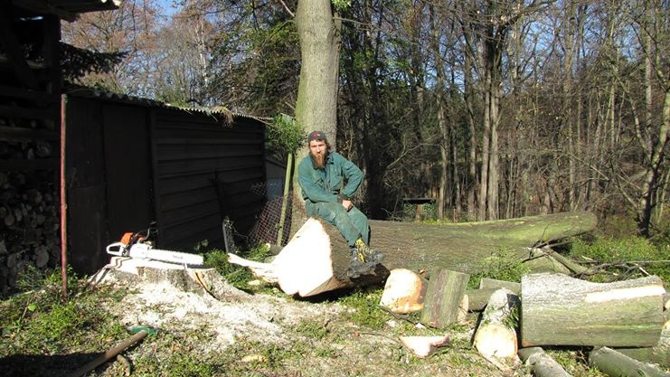 Kácení a ořezy stromů Vsetínsko - 2