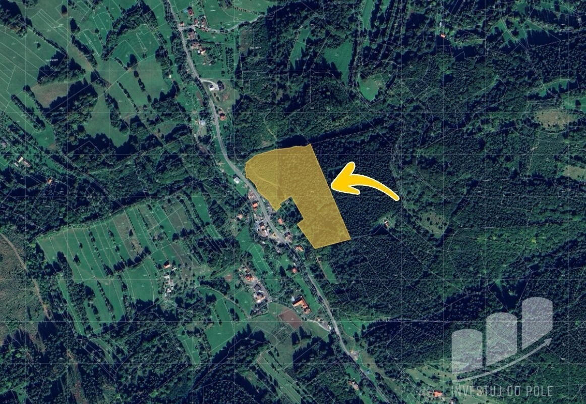 Prodej lesa 30 987 m², Huslenky, ev.č. 2025-01-20-3 - 2