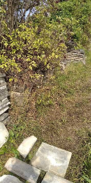 Hořický pískovec - 2