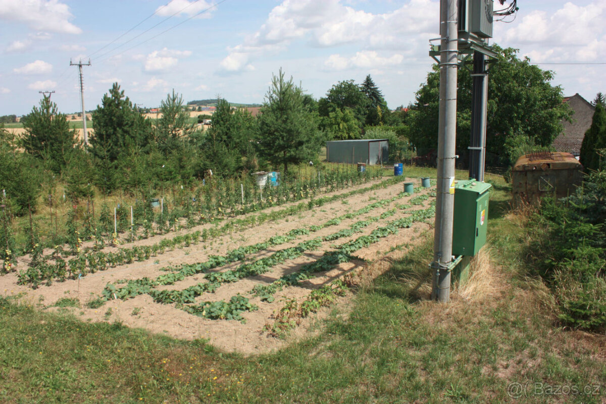 Prodej Vidice u Kutné Hory, pozemek, zahrada 1.478 m2 - 2
