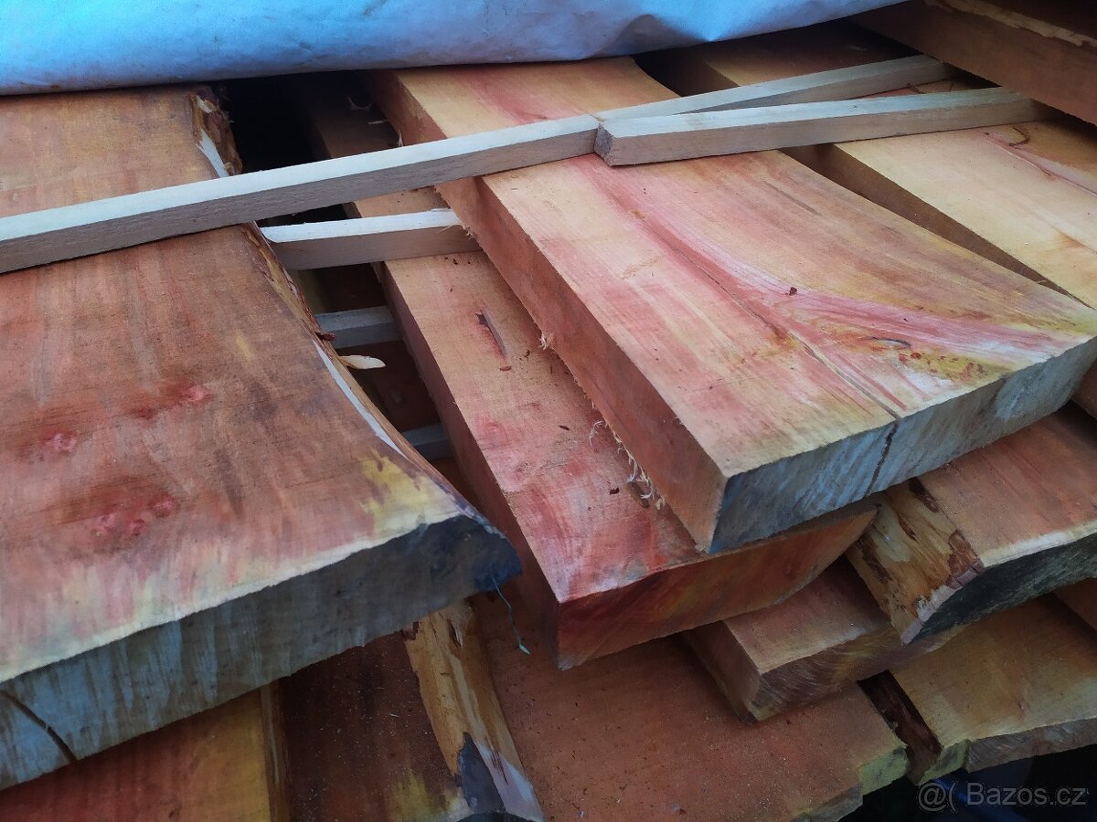 Fošny olše lepkavá - 2