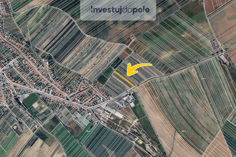 Prodej vinice v k.ú. Šardice - 2