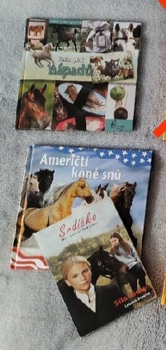 PRODÁM VĚCI Z PONY CLUBU - 2