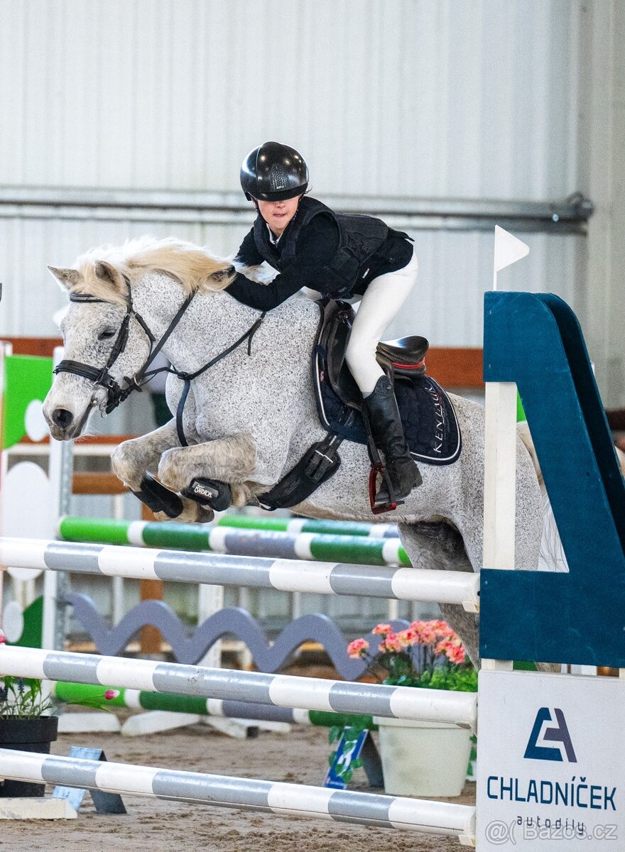 TOP pony klisna do sportu 132cm - 2