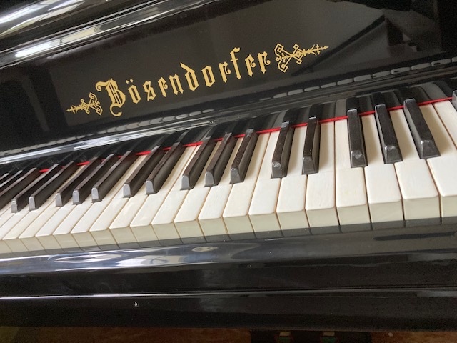 Křídlo Bösendorfer - 2