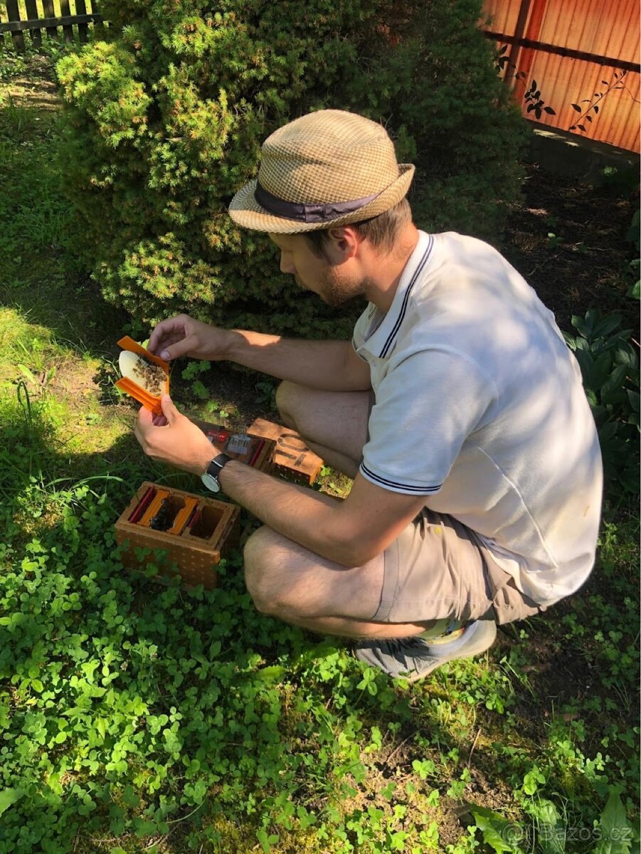 Včelí matky 2026 - Východní Čechy - 2