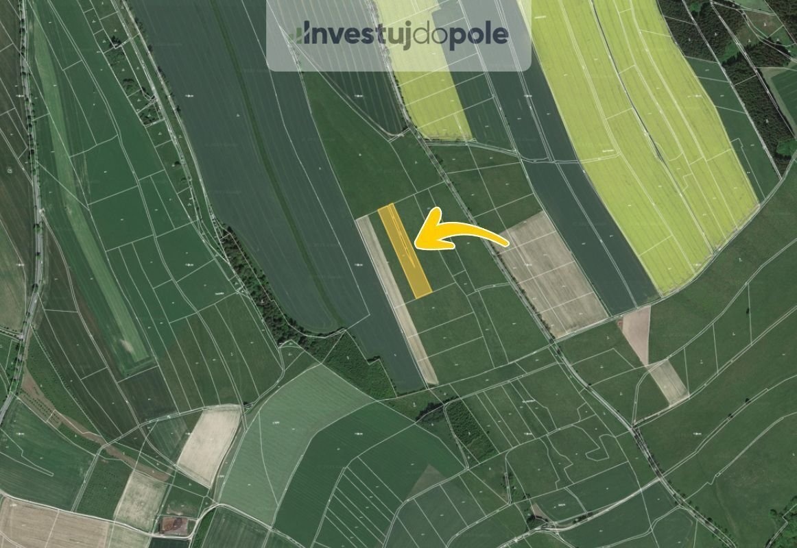 Prodej pole 8 023 m², Police nad Metují - Velká Ledhuje - 2