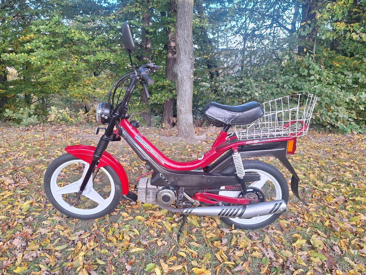 Manet korado v pěkném stavu - 2