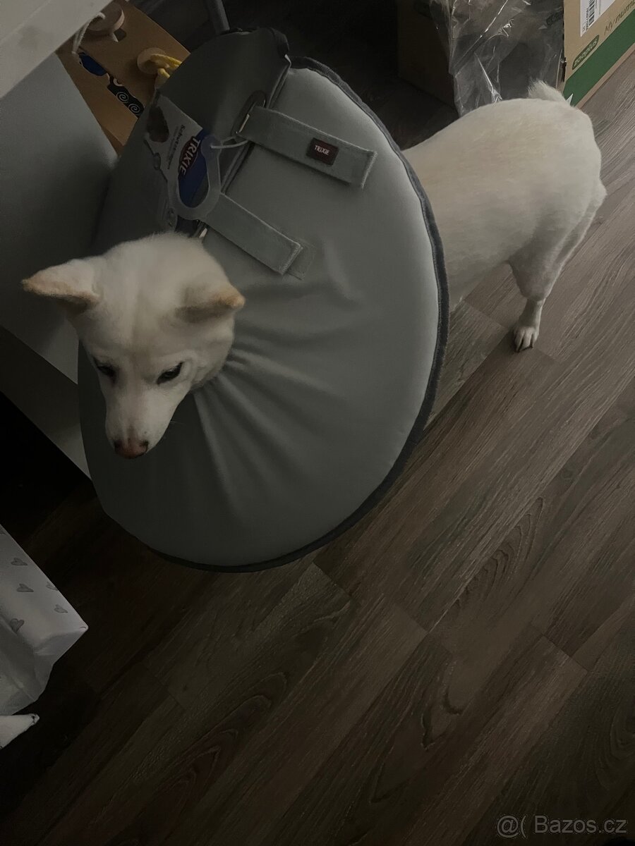 Ochranný límec - 2