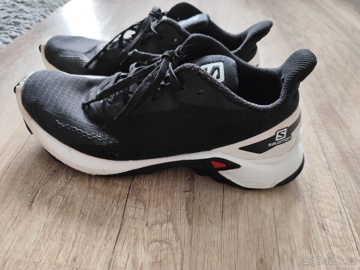 Salomon Alphacross vel. 40 - 2