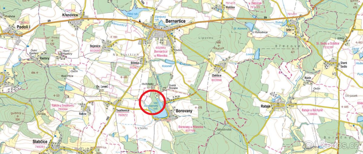 Prodej lesa Borovany 1,3225ha - 2