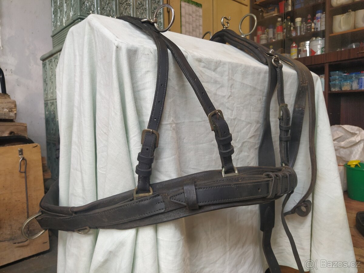 Poprsní postroje na pár - 2