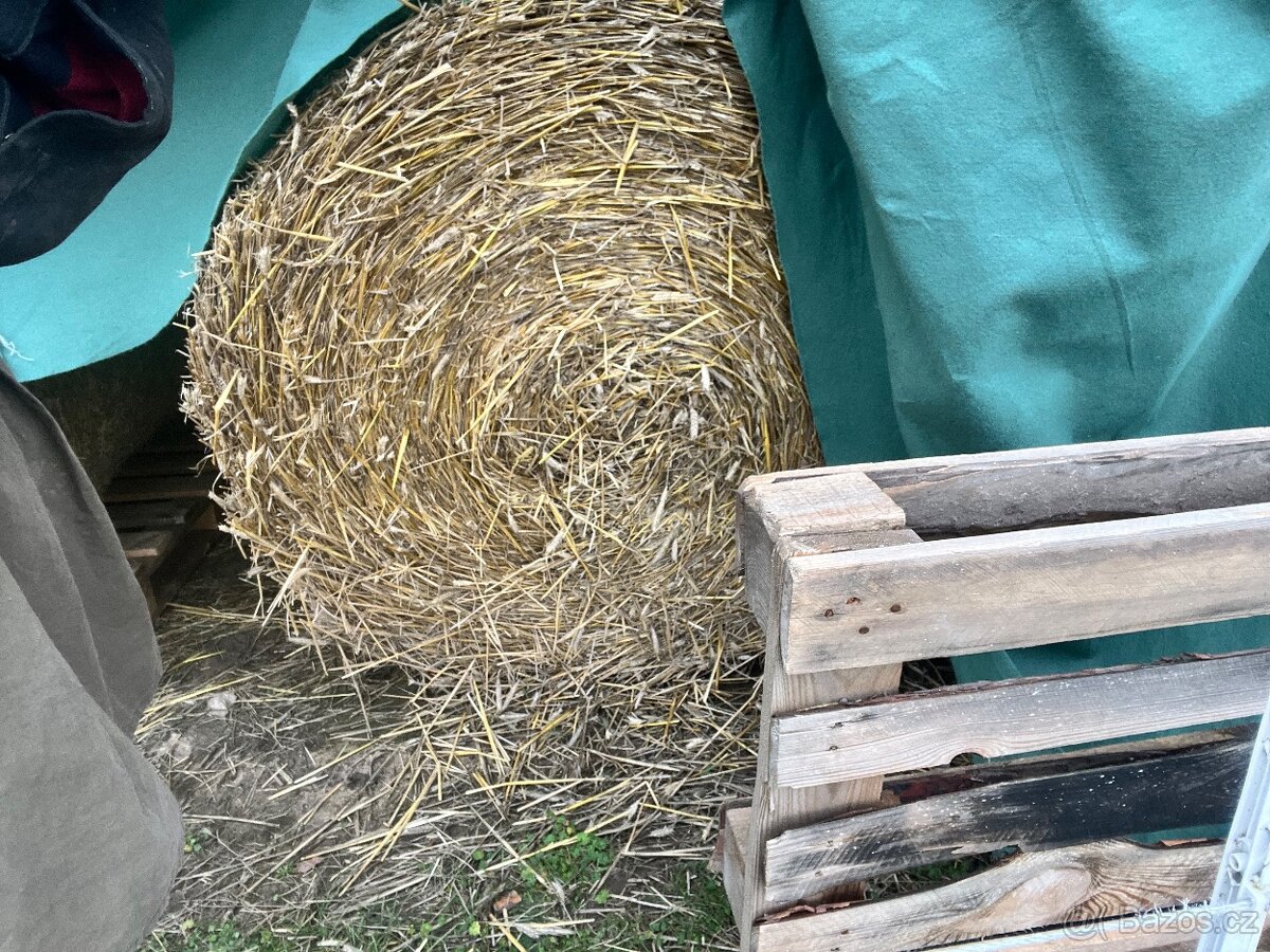 Prodám balíky slámy - 2