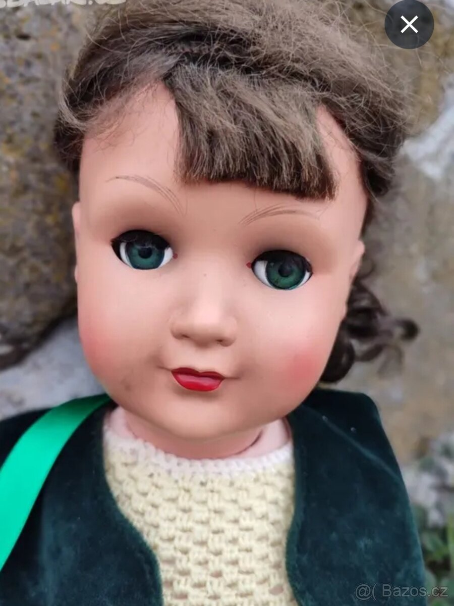 Panenka želva velká - 2