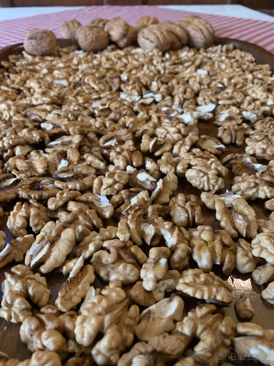 Vlašské ořechy - 2