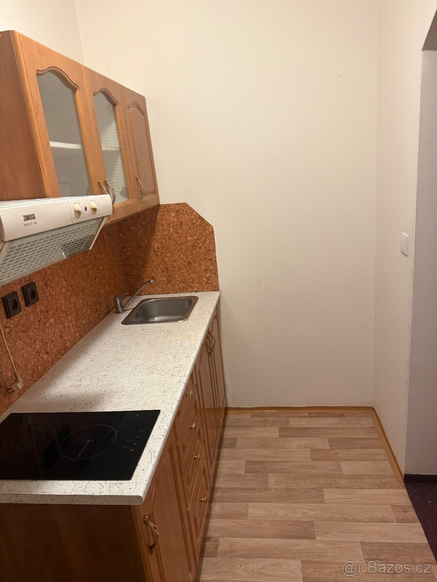 1+1 pronájem - 2