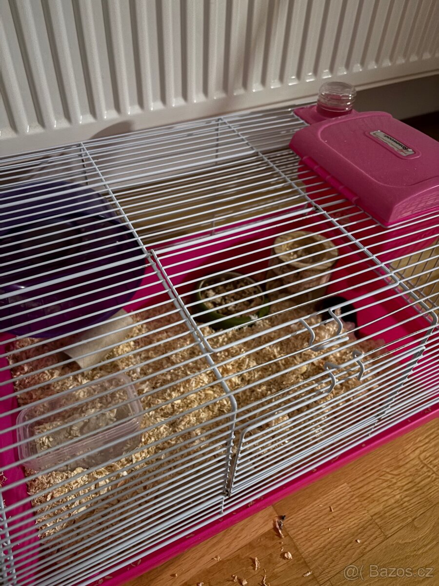 Daruji Křečka Džungarského včetně klece - 2