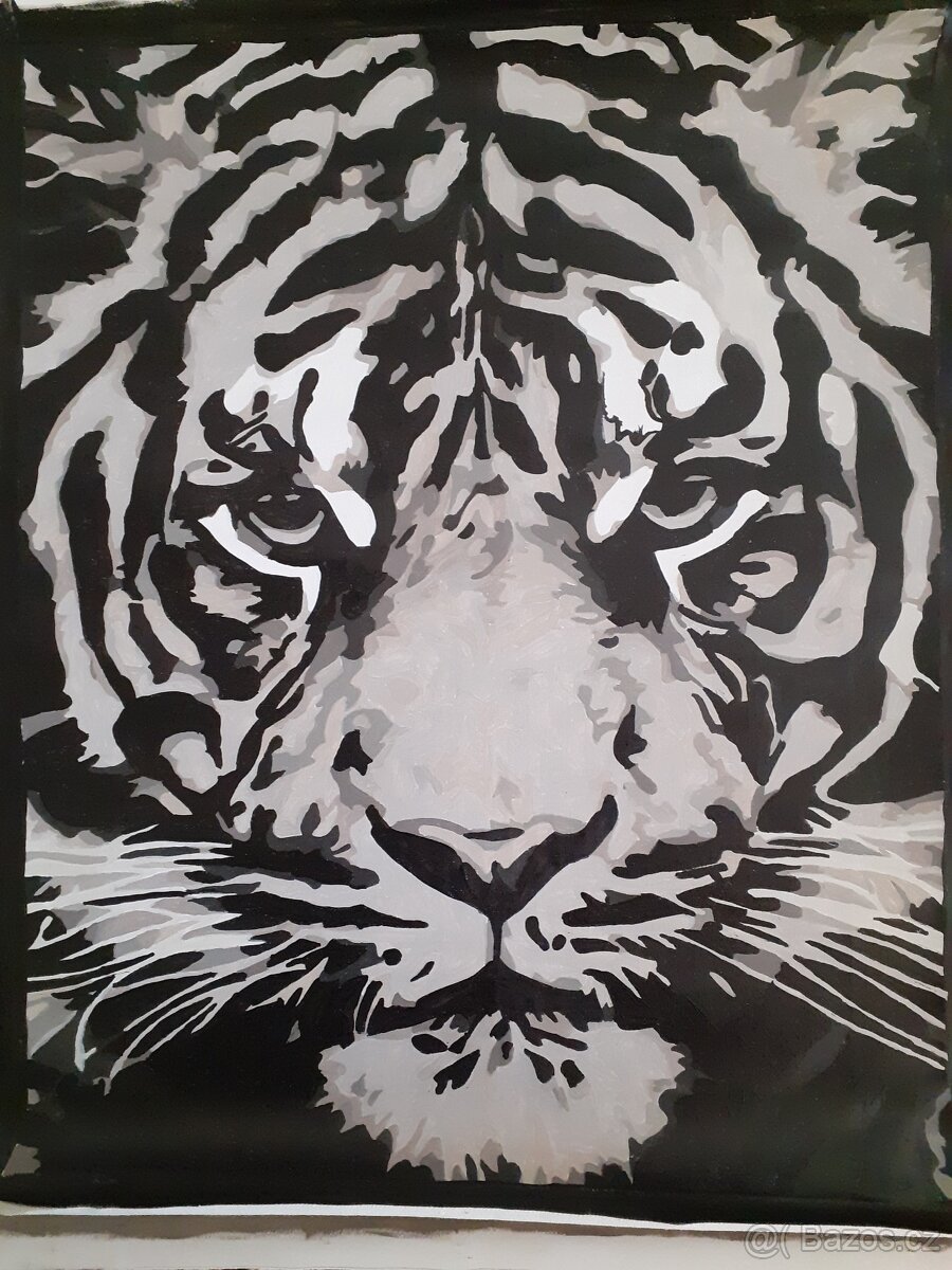 Malované obrazy 40x50cm - 2