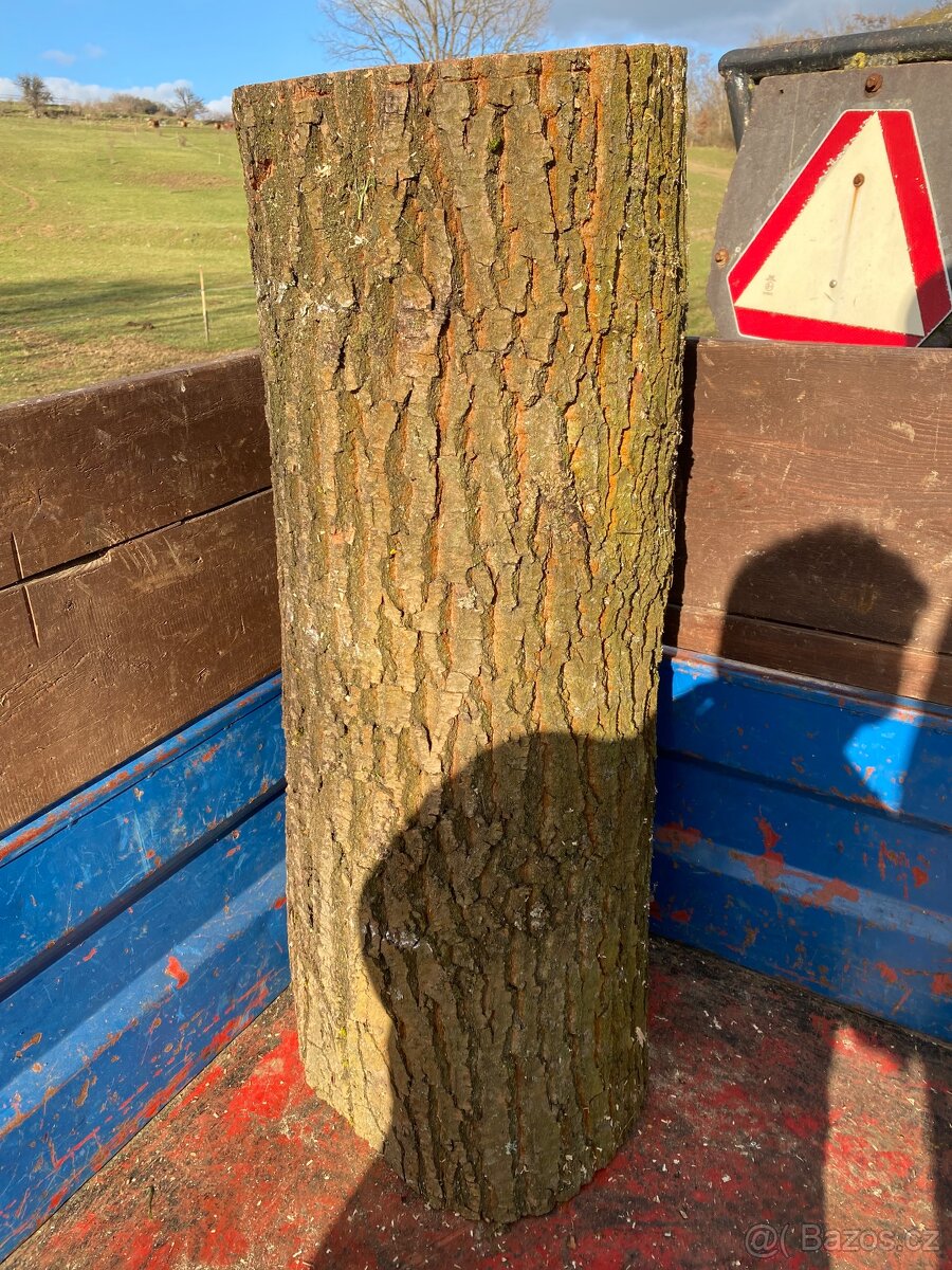 Špalek na štípání (dub) - 2