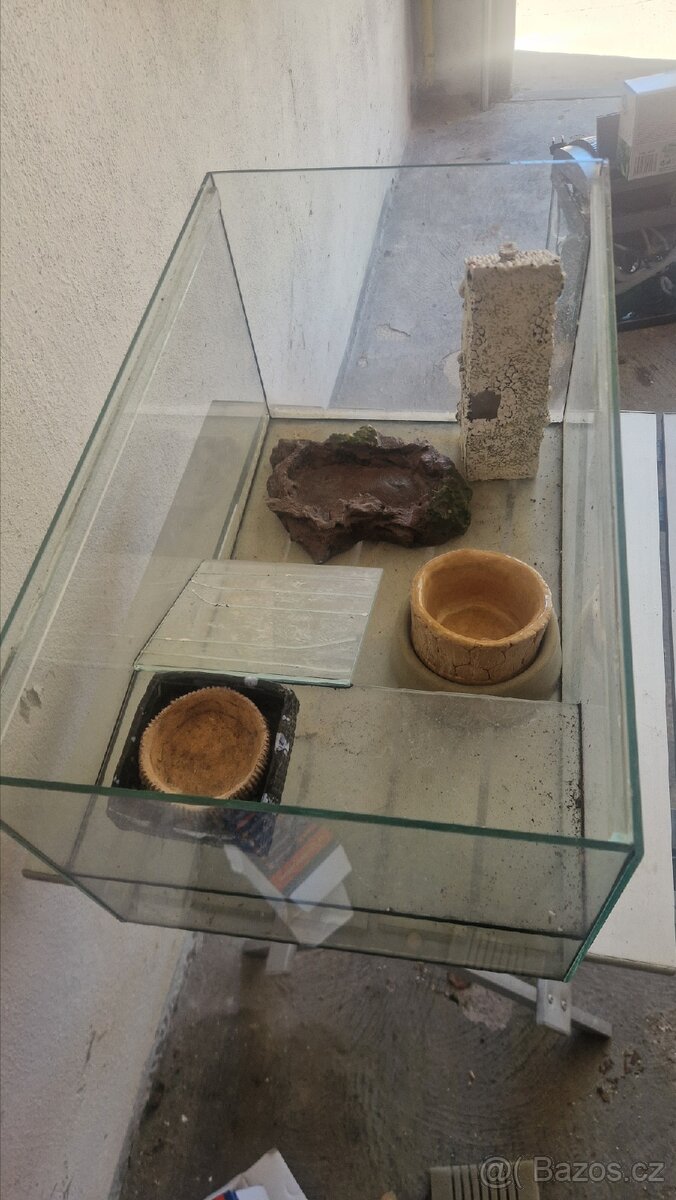 Paludarium - 2