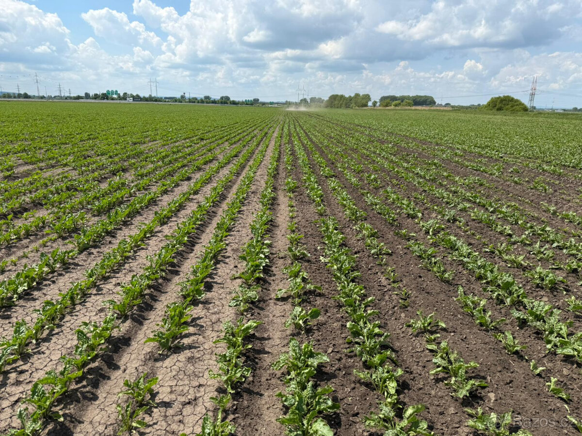 Rotační plečka GST Biostar 10 - 2