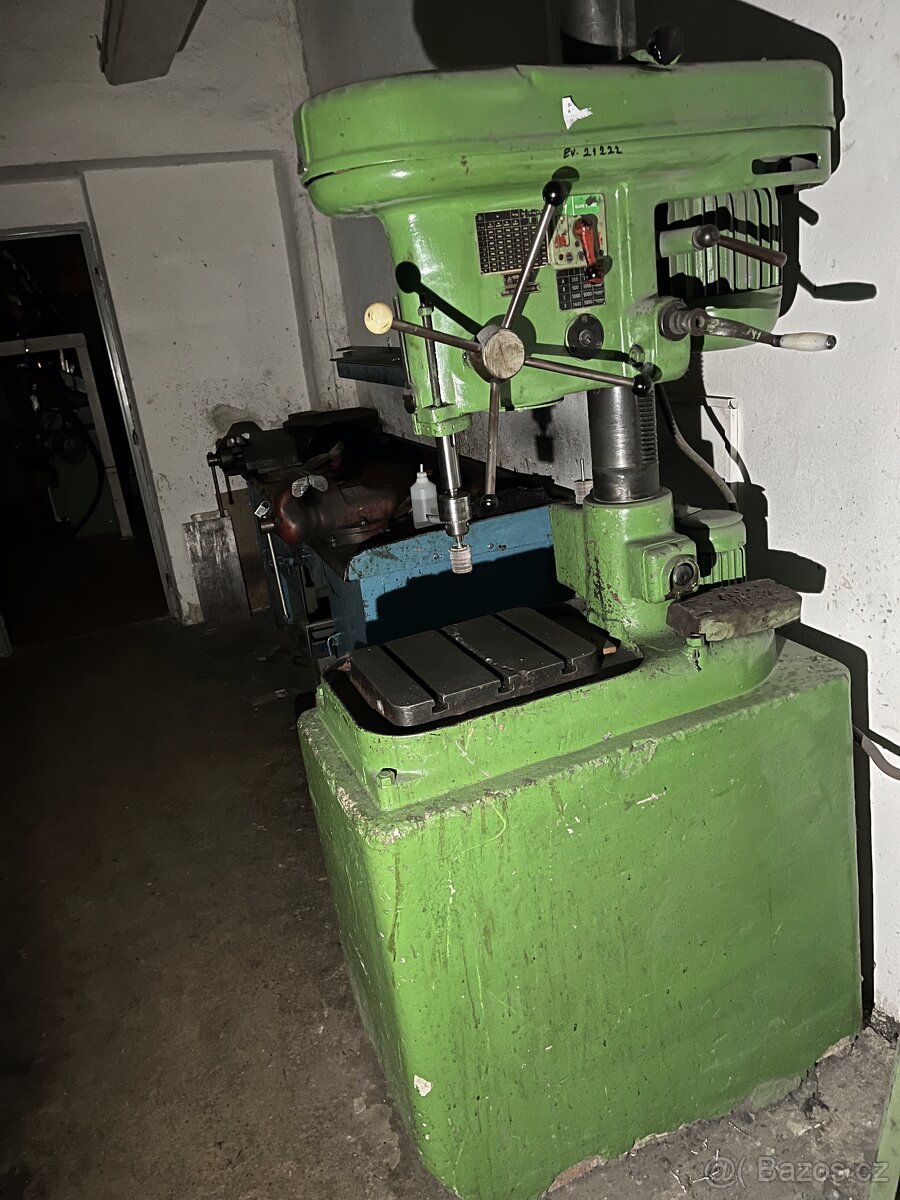 Vrtačka sloupová - 2