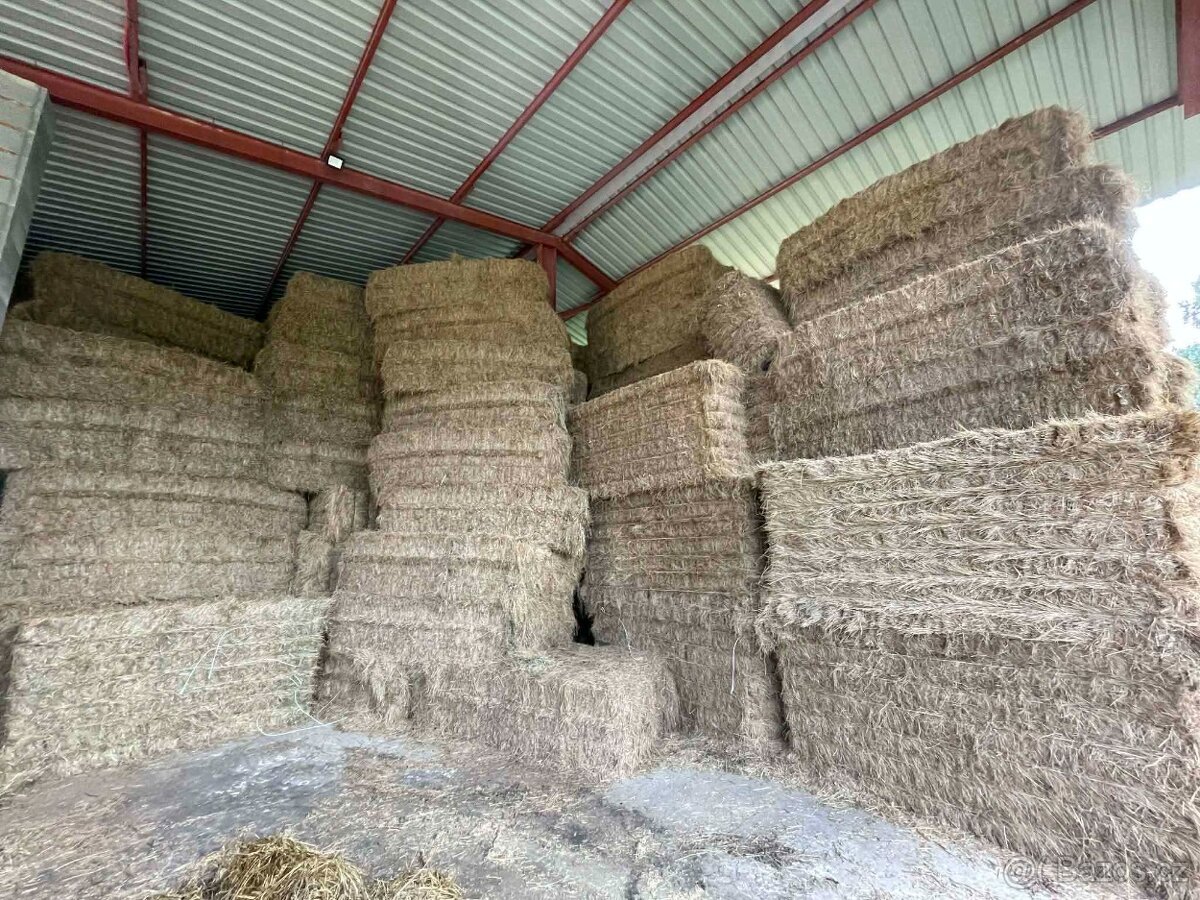 Prodám hranaté senové balíky - 2