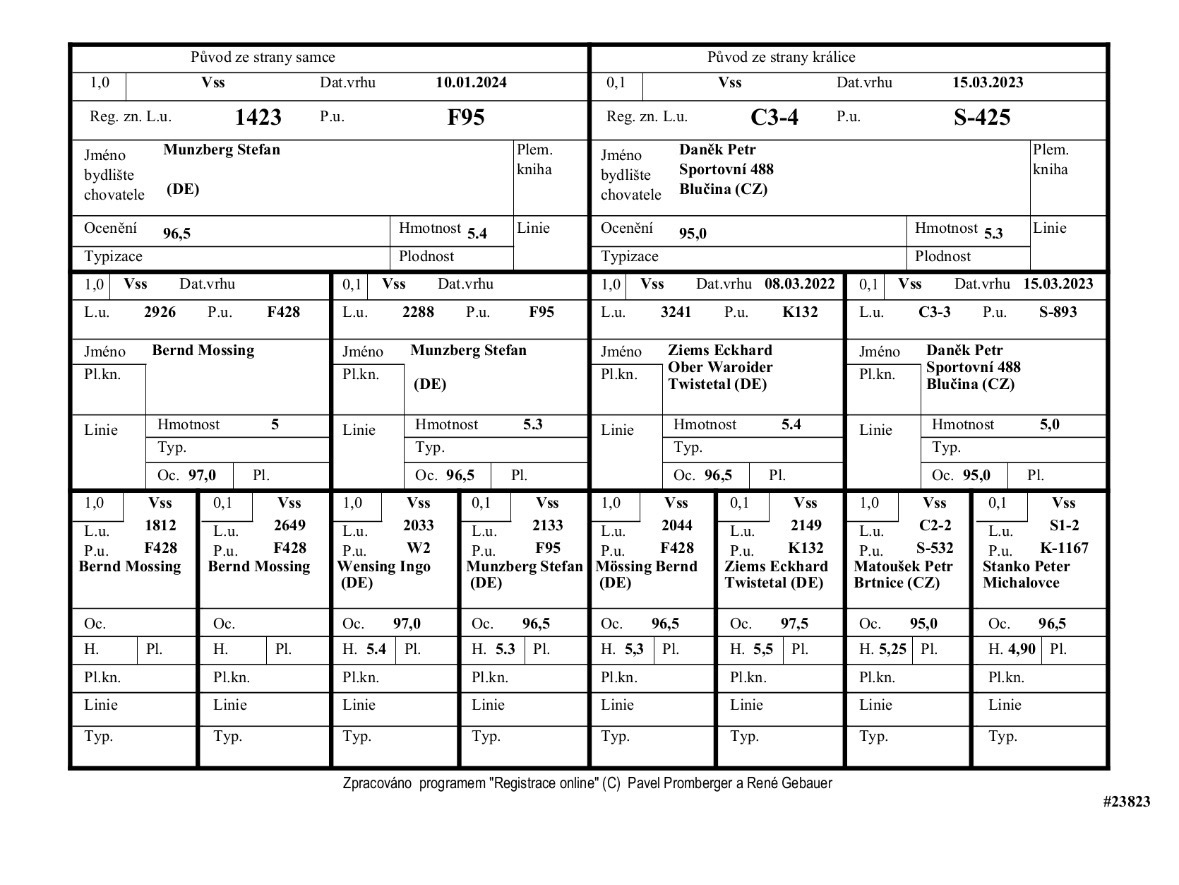 Samice Velky světlý střibřitý - 2