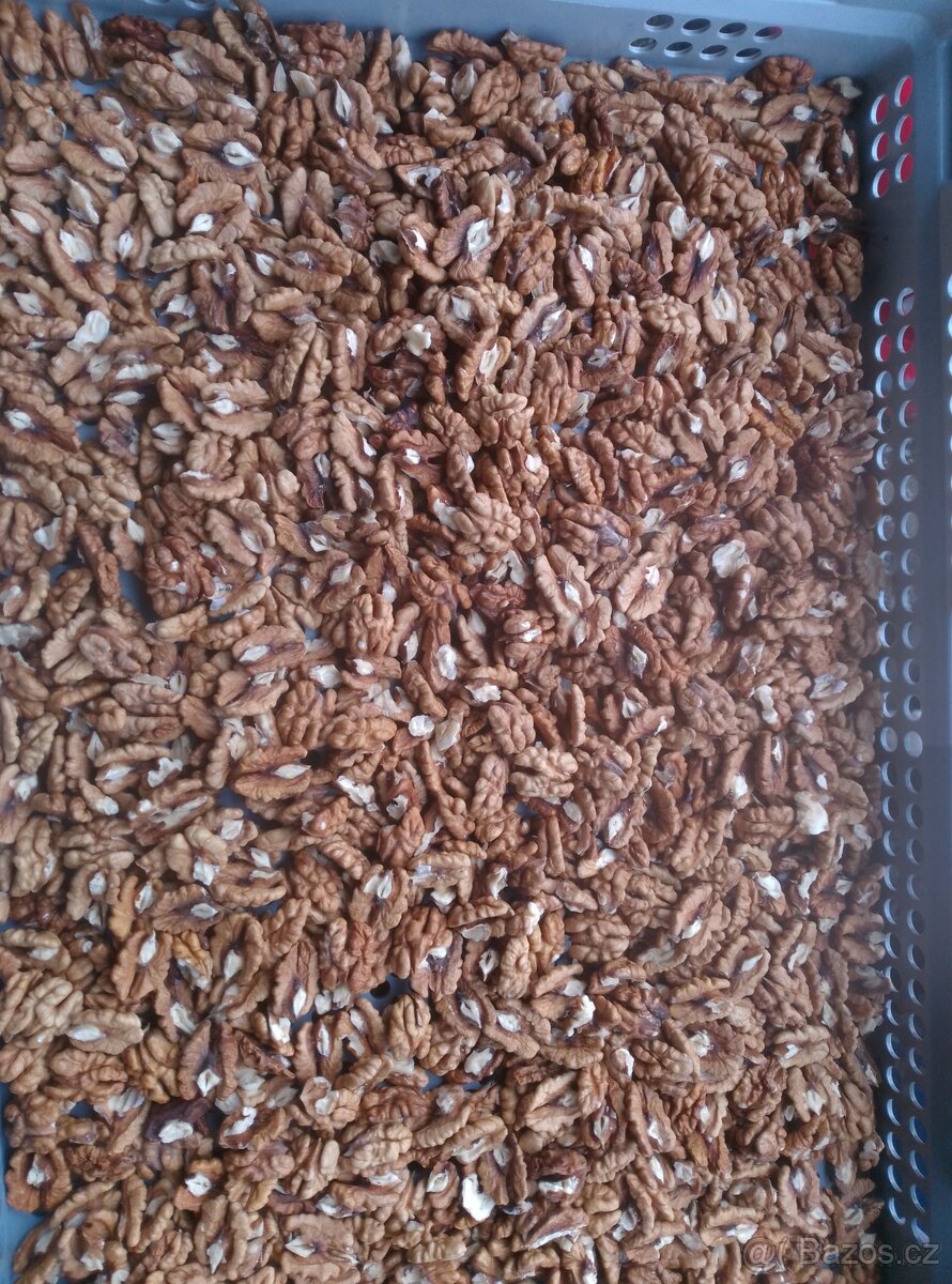 Prodám letošní loupané vlašské ořechy - 2