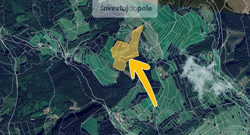 Prodej lesního pozemku v k.ú. Valašská Senice - 2