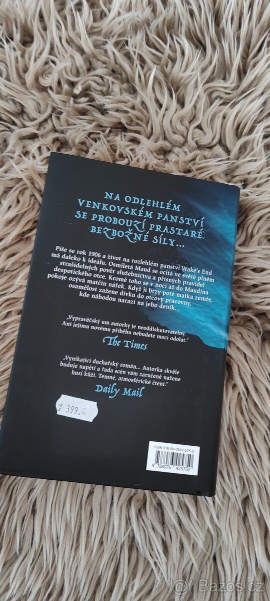 Děs sídla WAKE'S END - 2