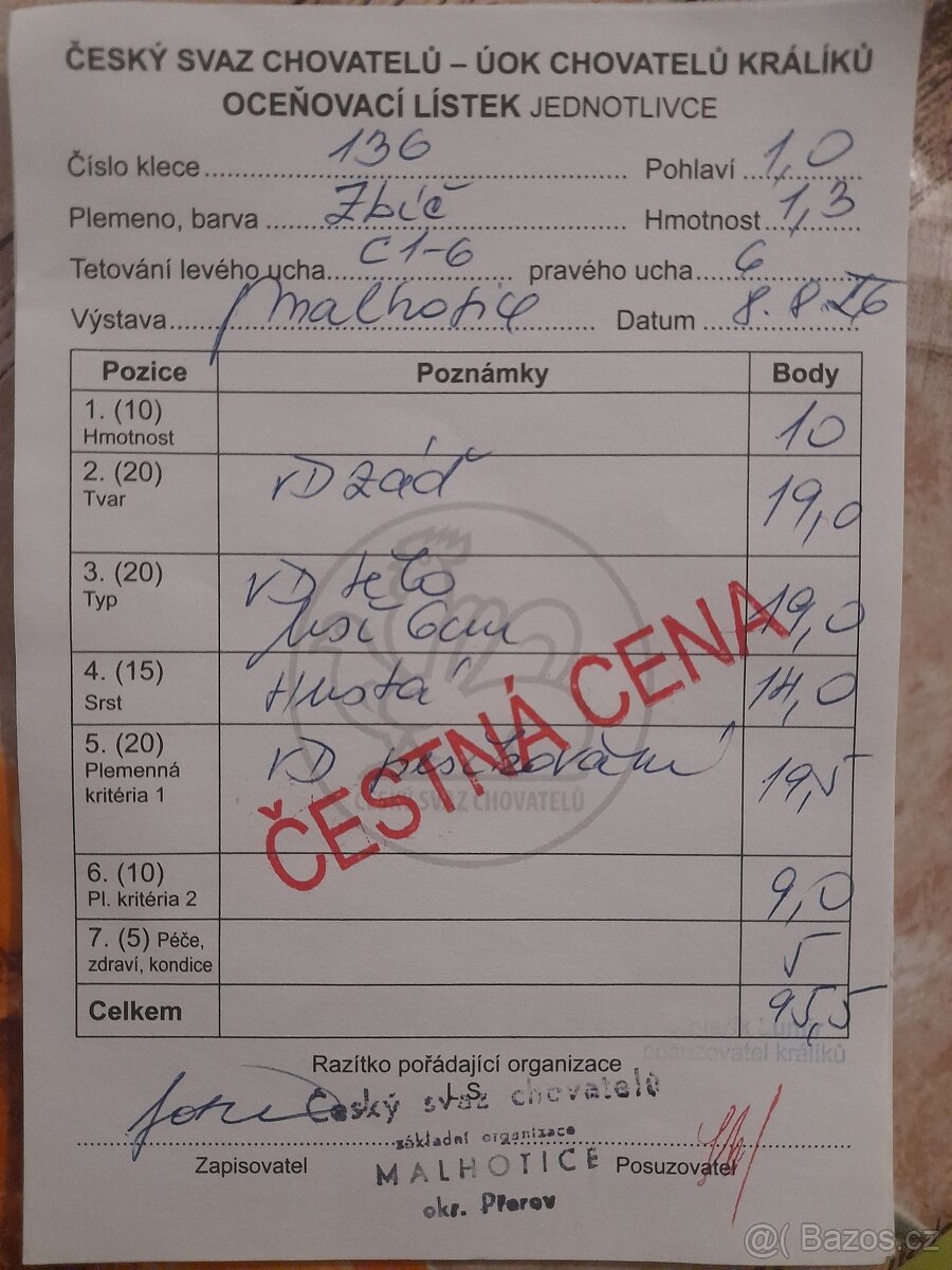 zakrslý bílopesíkatý černý s PP - 2