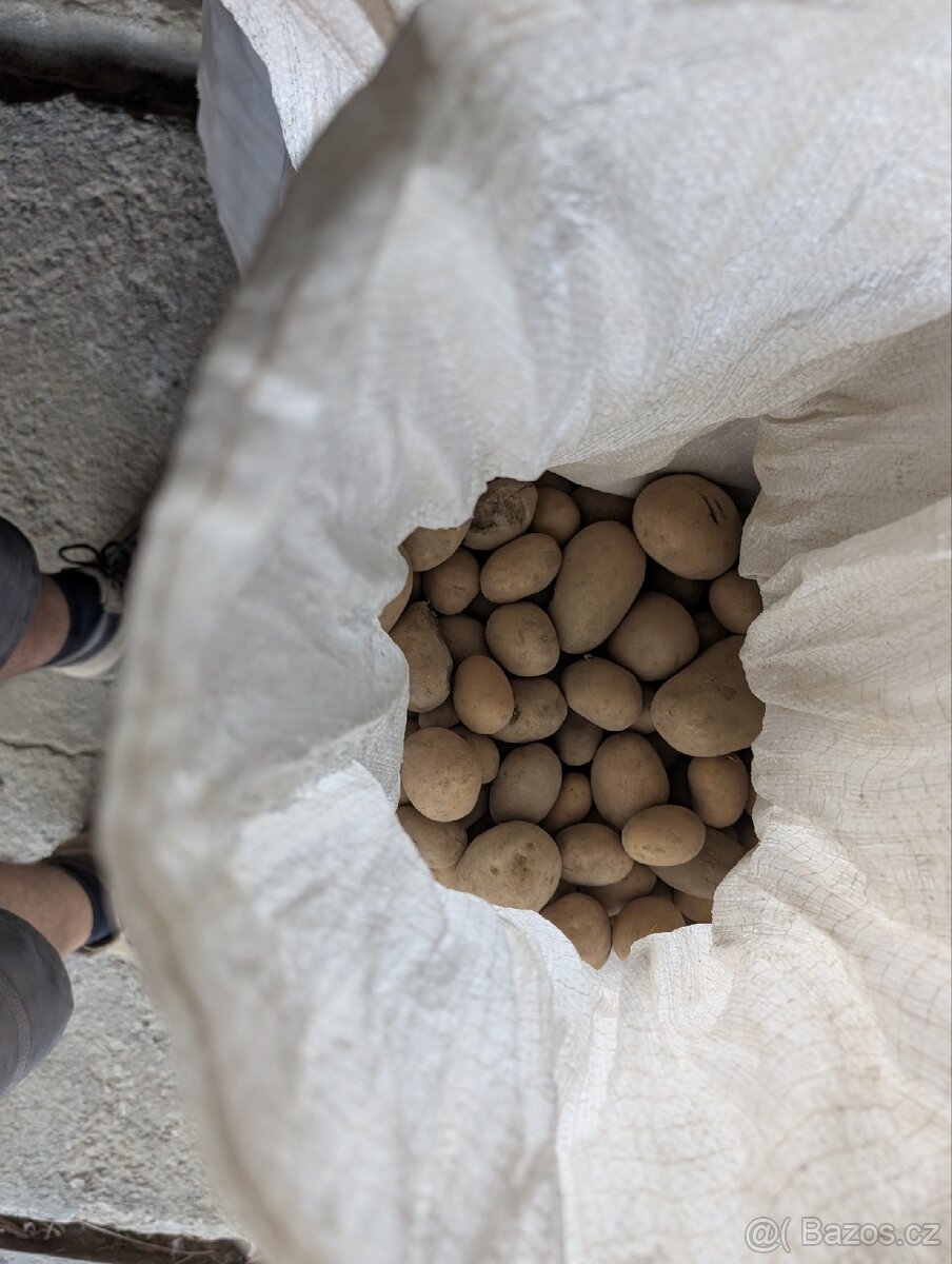 Brambory - 2