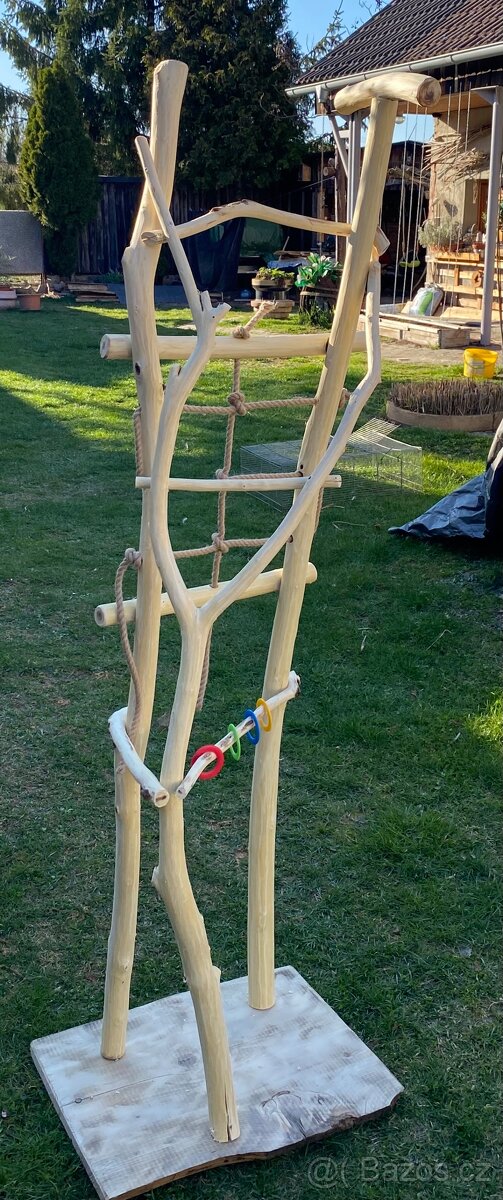 Strom pro papoušky - 2