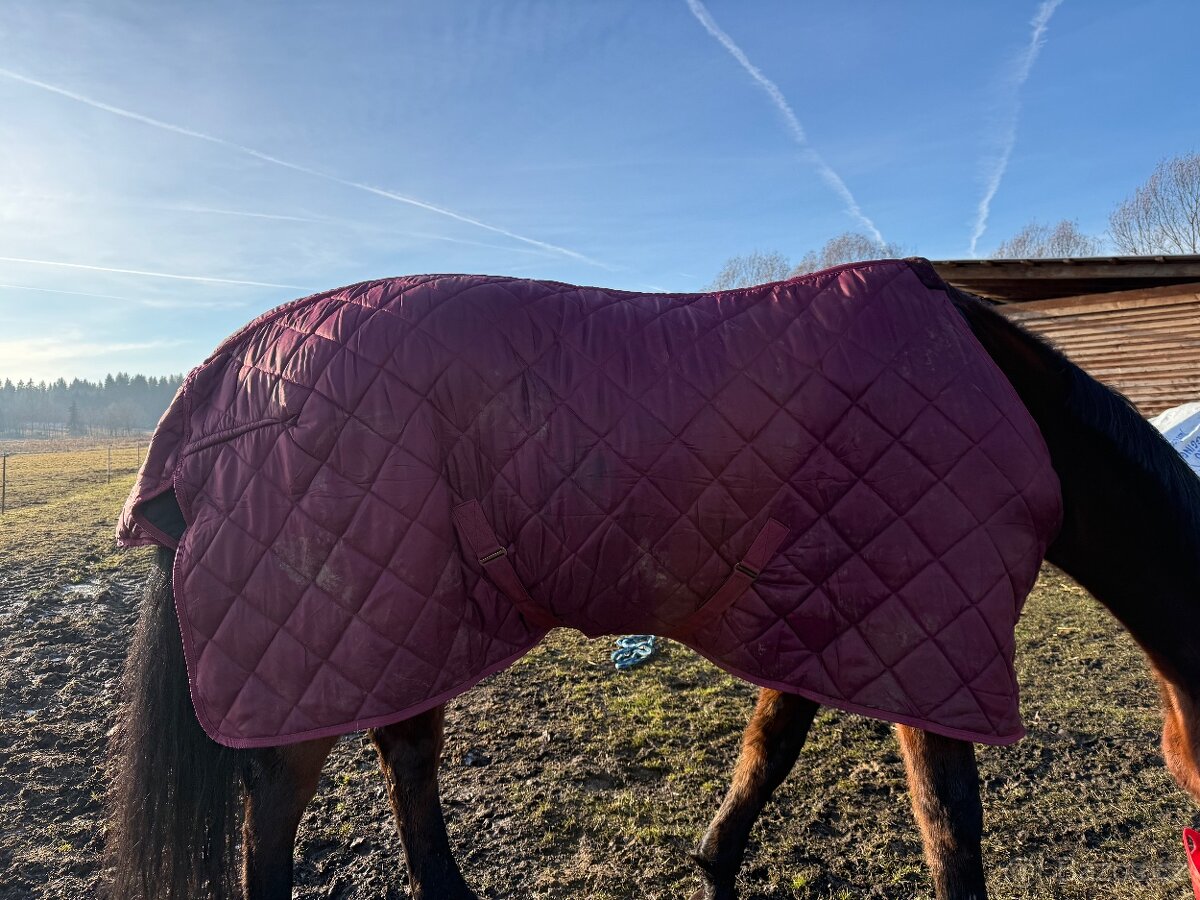 Stájová deka s teddy beranem. 155cm, 150g - 2