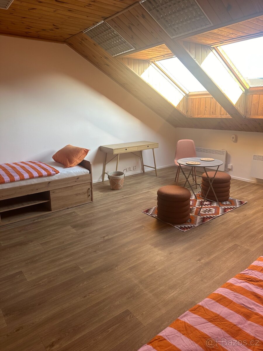 Bydlení pro studenty a mladé pracující blízko centra Opavy - 2