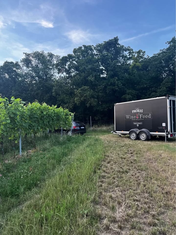 Pojizdný stánek (food truck) - 2