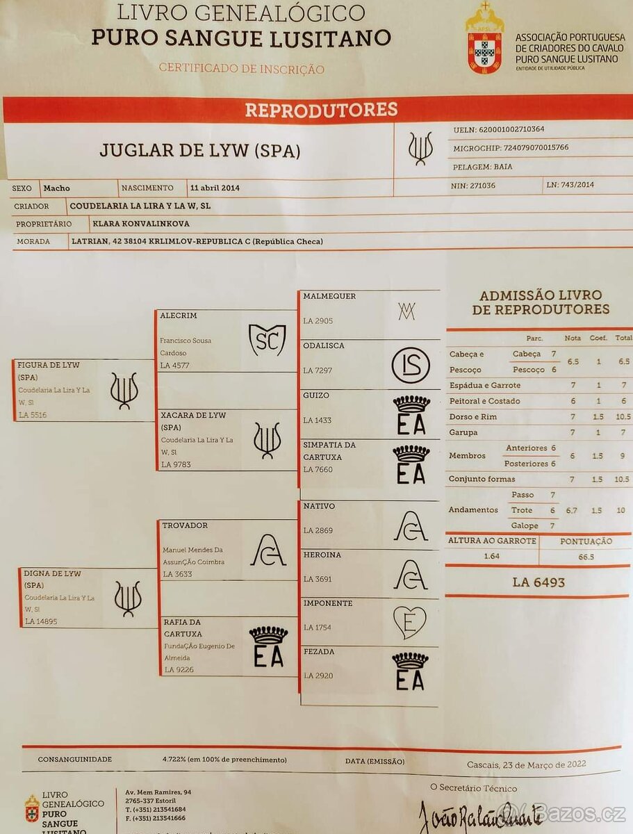 PŘIPOUŠTĚNÍ PSL - 2
