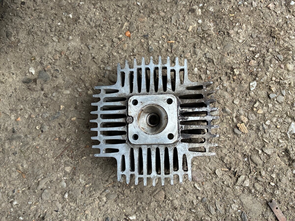 Hlava manet korádo - 2