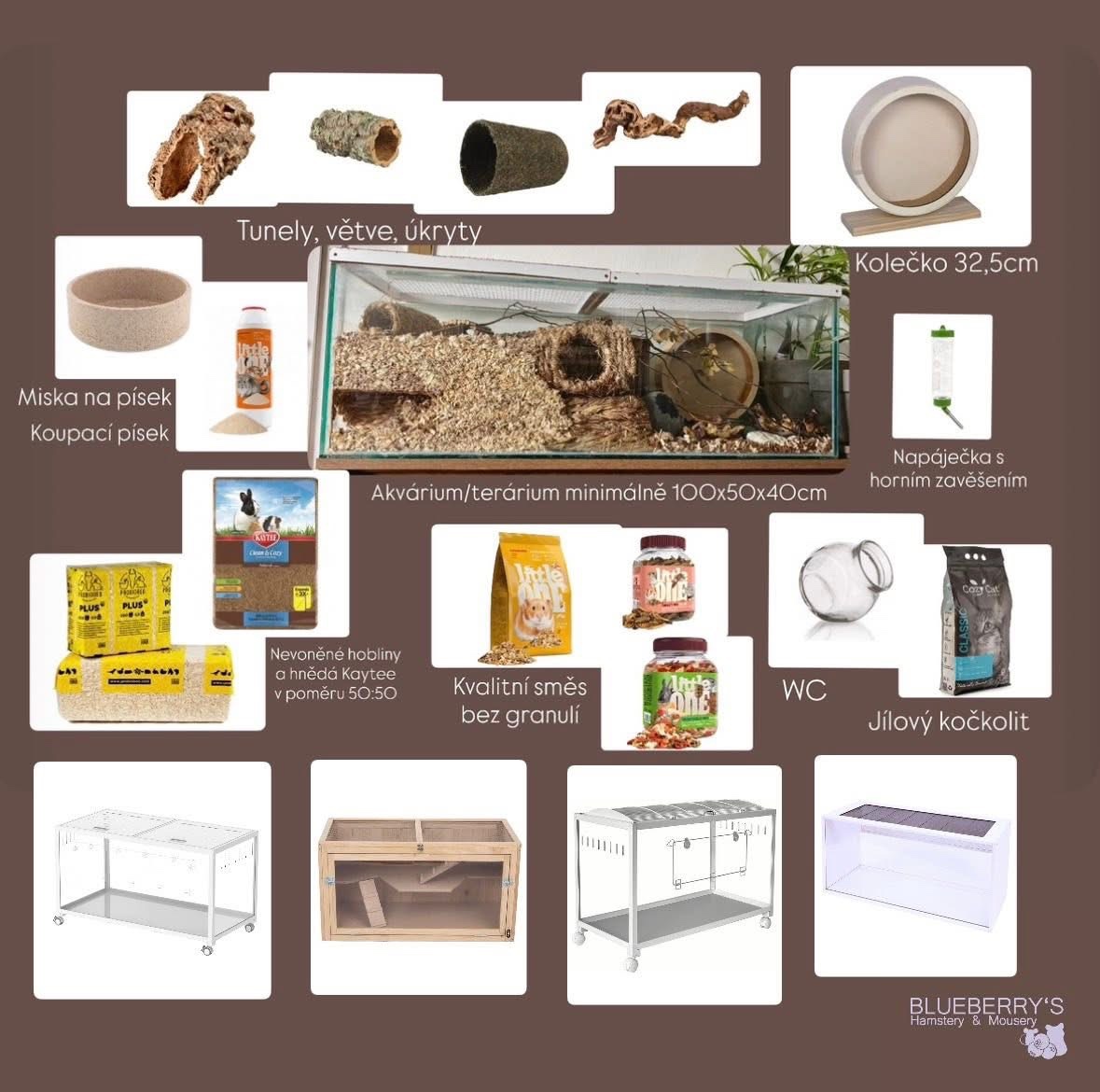 Křeček syrský/ zlatý - 2