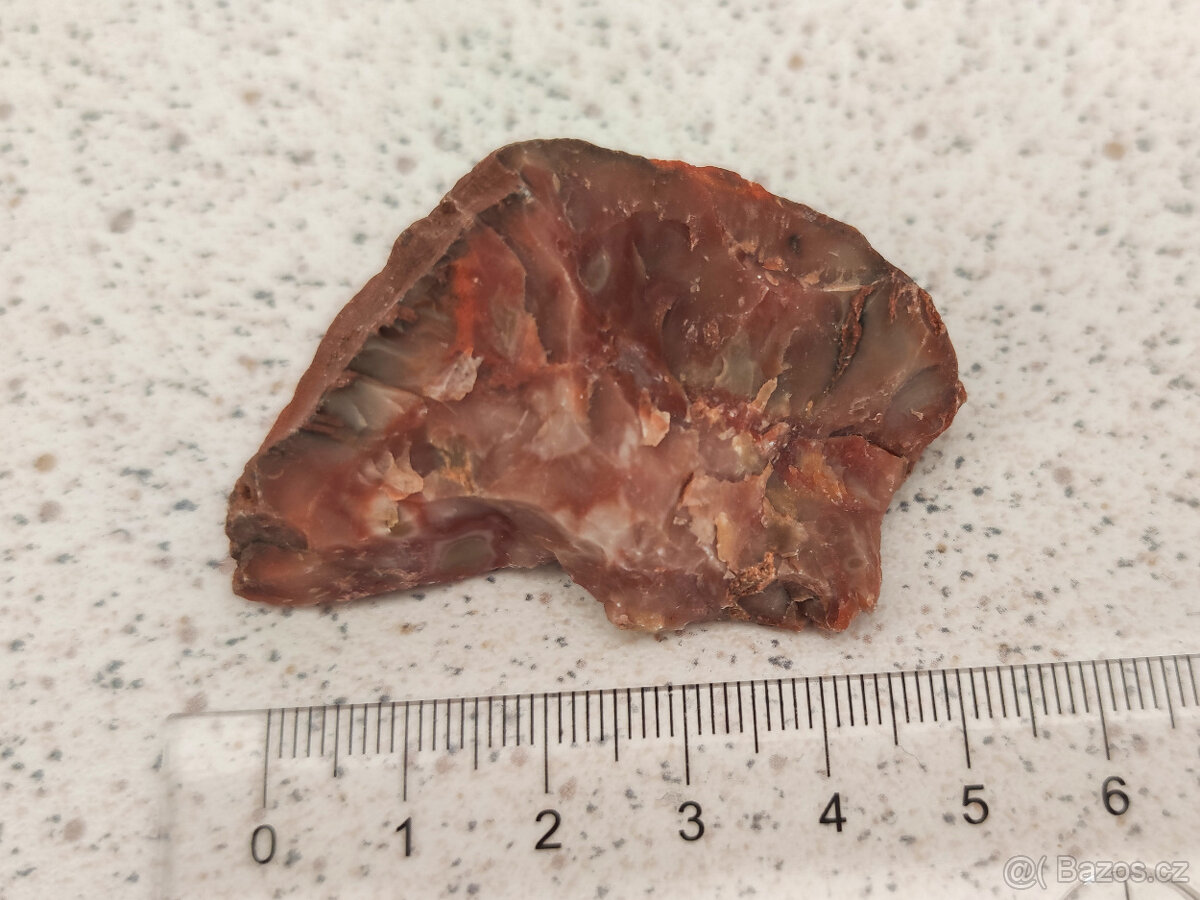 Zkamenělý dinosauří trus - Achát Fosilie Karneol 2 - 2