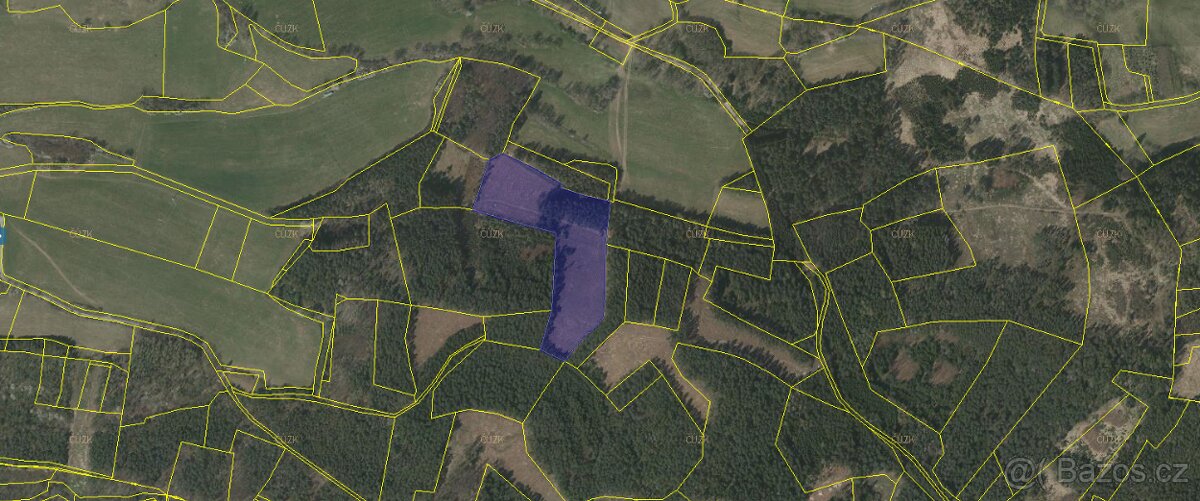 Prodej lesa Přechovice 24705m2 - 2