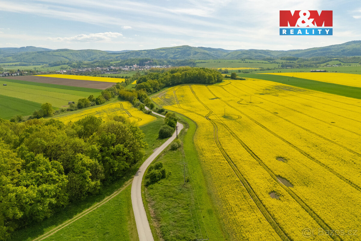 Prodej louky, 2451 m², Javorník - 2