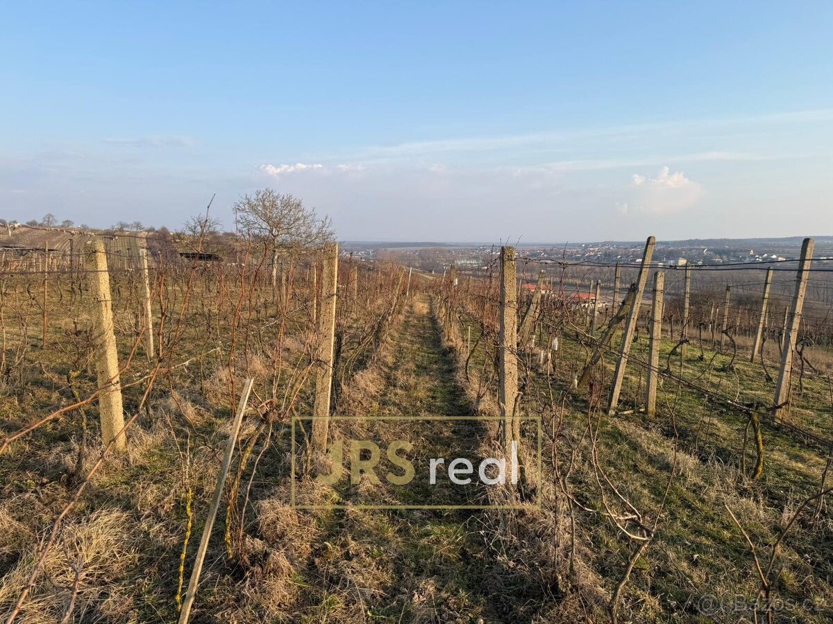 Prodej vinice 2 669 m², Mutěnice, ev.č. 130093JV - 2