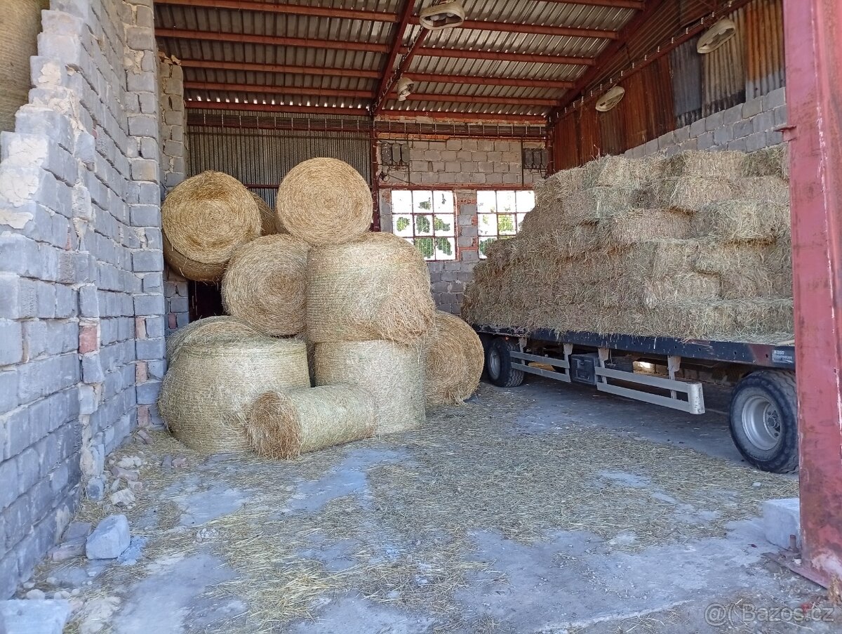 Sláma - 2