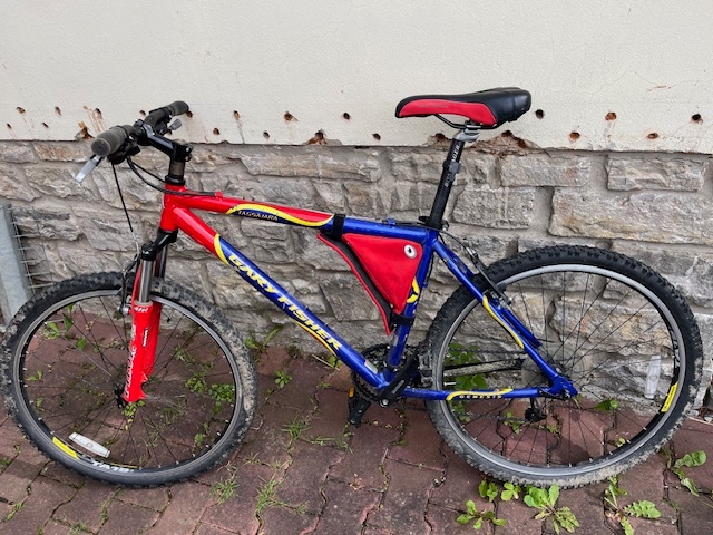 Kolo Gary Fisher - 2